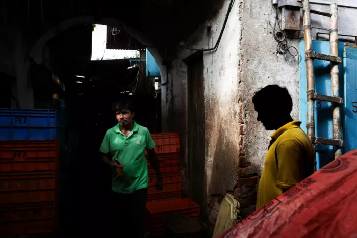 Biswas, Kuntal: Shadow and Substance