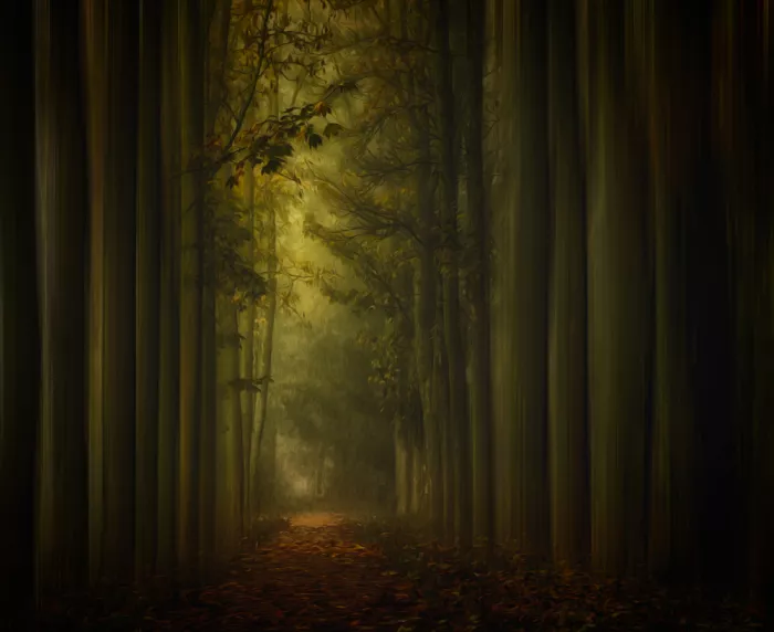 Lee, van Hilda: autumn lane