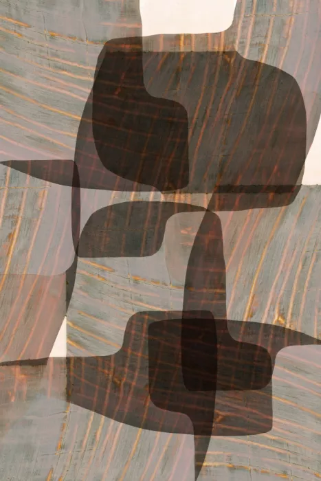 cartissi: Woven Forms Abstraction