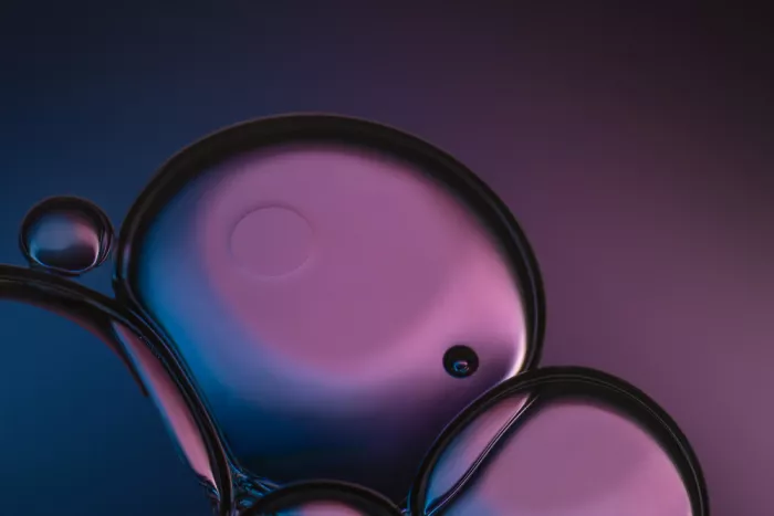 APA, Fu Molly: Mondo di bolle
