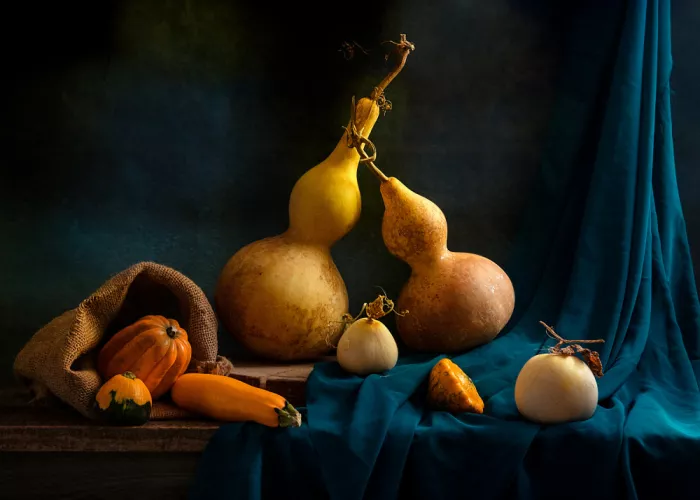 Luo, Louie: Bottle Gourd