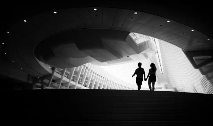 Lai, Vicki: Passing by