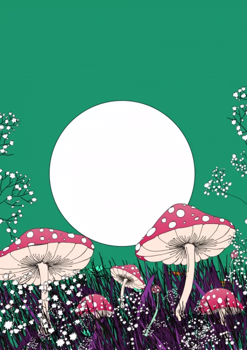 Nicholas: Champignons
