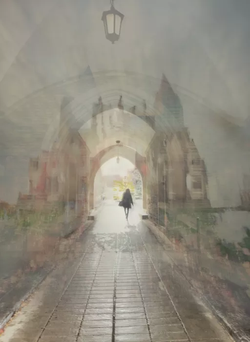 Zhao, Emma: Towards the Bright
