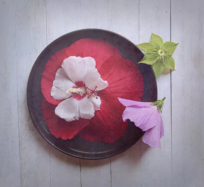 Zhou, Fangping: Palette of Nature