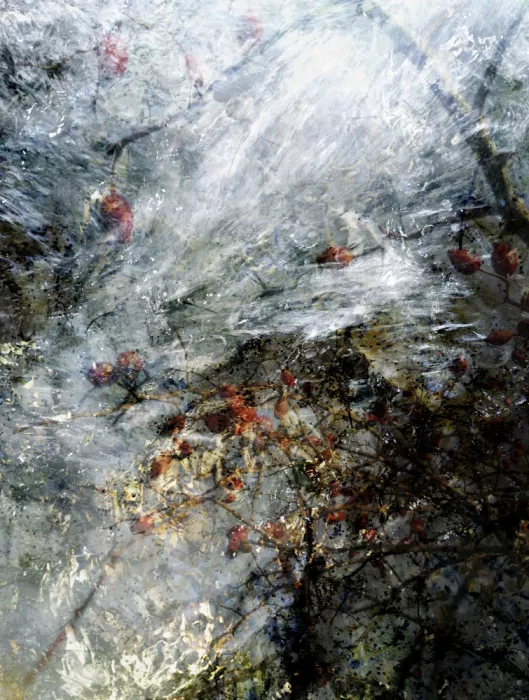 Cerantola, Angelo: Ohne Titel