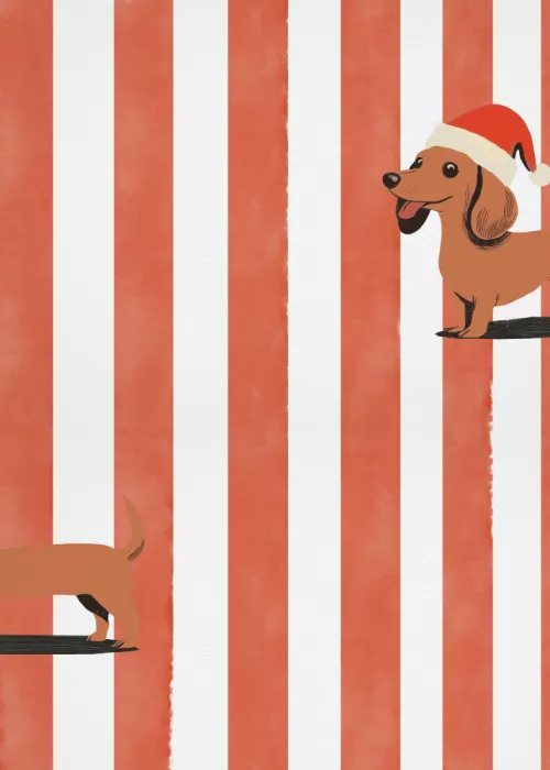 Studio, Pictufy: Dachshund