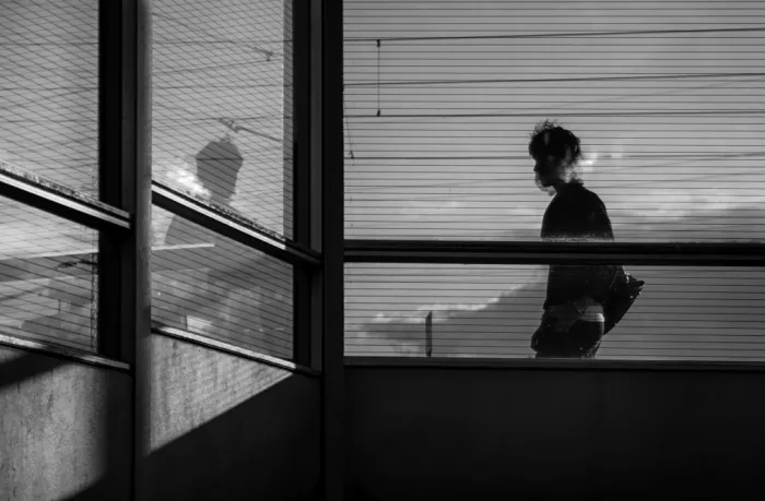 Niemiec, Anna: Meeting with the shadow