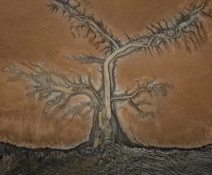 Zhong, John-Mei: Tidal Tree