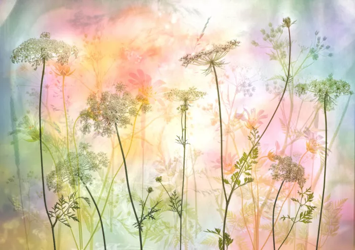 Lee, van Hilda: a summer breeze