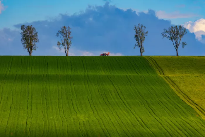 Hrabinsky, Peter: Above the Vazec