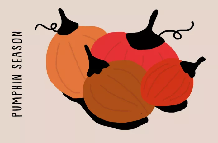 Demir, Aylin: Pumpkin Season