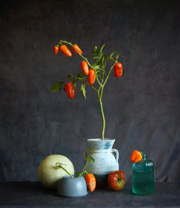 Zhou, Fangping: Peppers and Honeydew