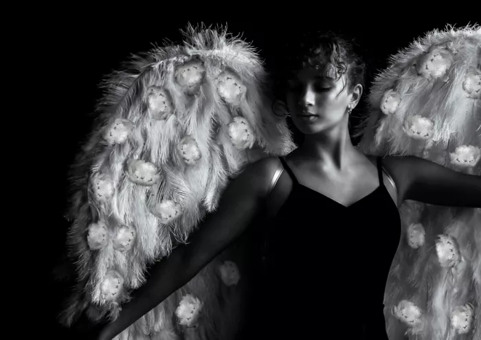 Holmström, Katarina: Wings