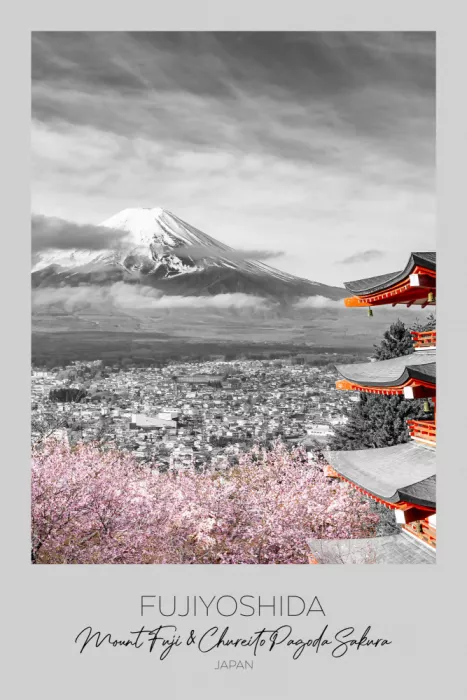 Viola, Melanie: En focus : Mont Fuji avec la pagode Chureito pendant la saison des fleurs de cerisier | clé de couleur