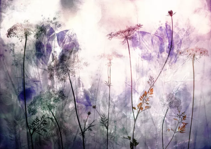 Lee, van Hilda: a touch of purple