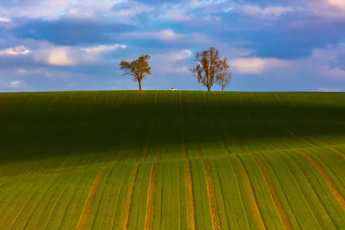 Hrabinsky, Peter: Above the Vazec 2