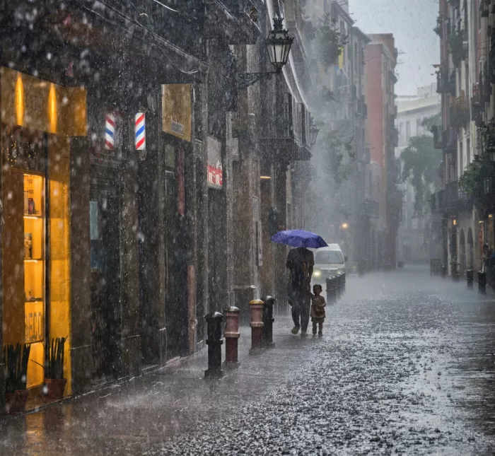AFIAP, Uhrin Milan: Walking in the rain