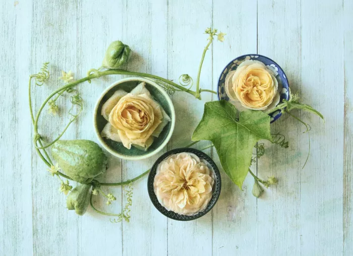 Zhou, Fangping: Frozen Roses and Fresh Chayote