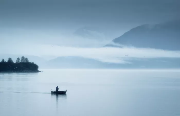 Zhang, Joan: Fishing in a  foggy  morning