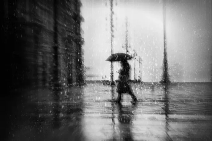 Sedevcic, Damijan: rainy day