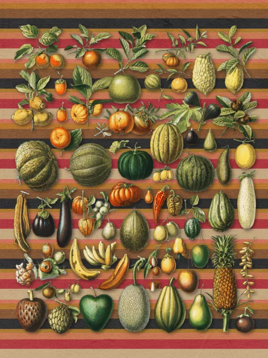 den, van Marja: A Collection of Healthy Foods