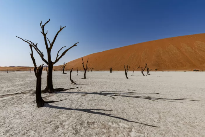 Catta, Alessandro: Deadvlei