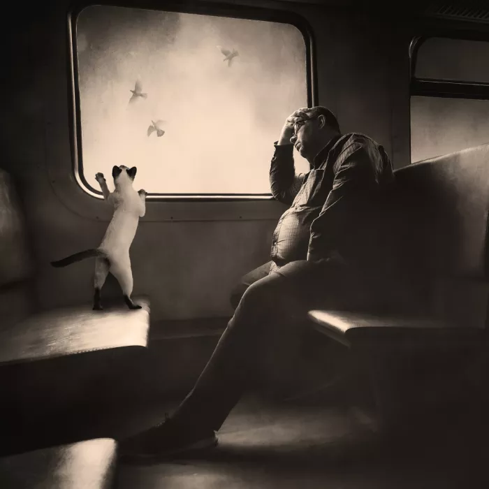 Novichikhin, Evgenii: A dream or...
