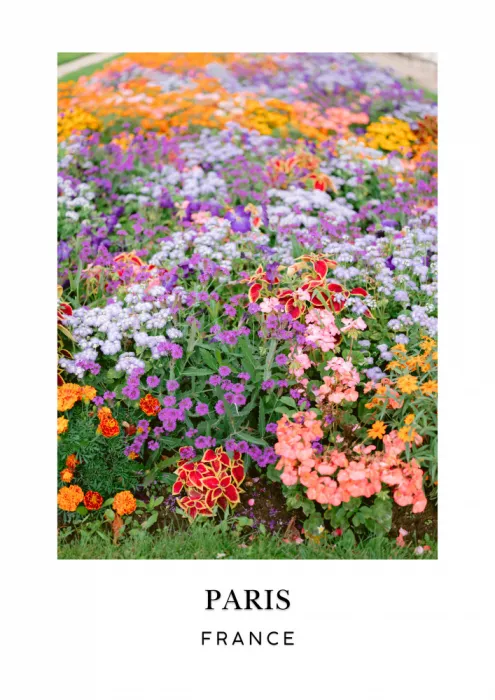 Zwart, Raisa: Paris Floral Travel poster