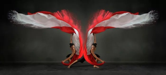 Bunjamin, Antonyus: Flag Wings
