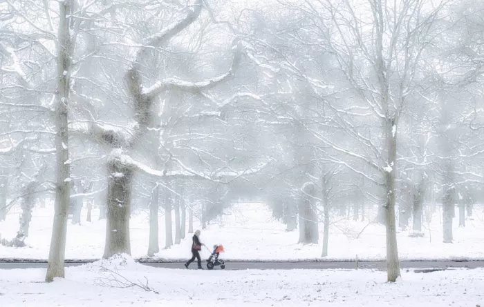 Davidson, Peter: Winter Walk
