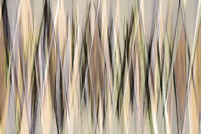 Sillen, Christina: Abstract Harmony