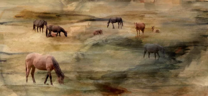 Bardot, Gemma: Horses Grazing