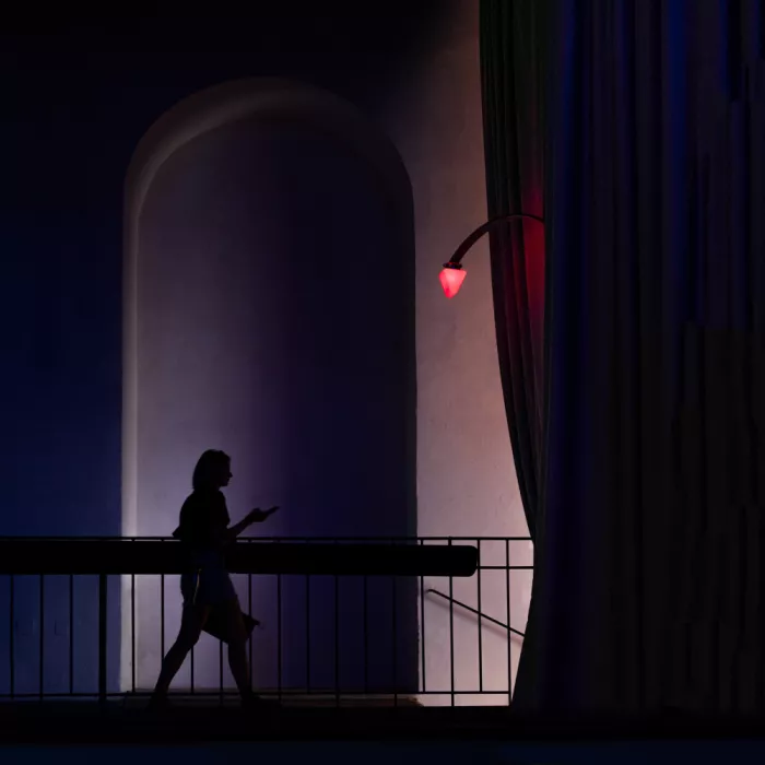 Endermann, Rolf: Rotes Licht