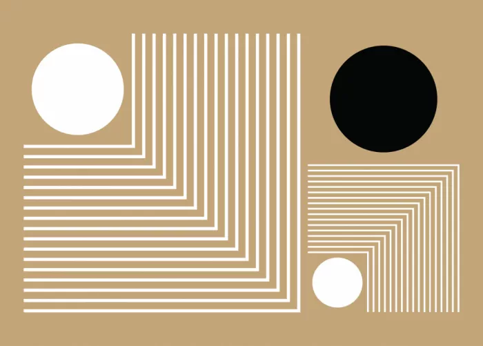 Kulkarni, Nilesh: Lignes et cercles - Une étude de géométrie minimaliste
