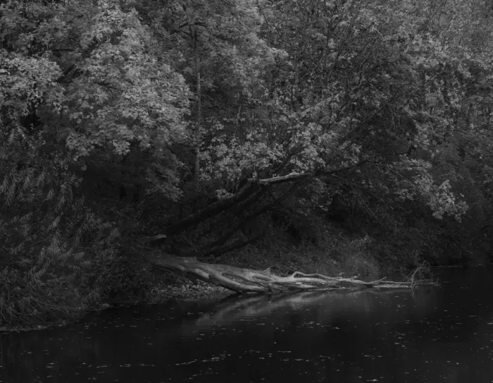 Urbonavičienė, Ingrida: Autumn mood
