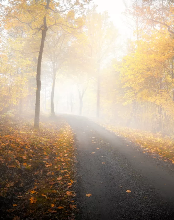 Lindsten, Christian: Autumn road v4