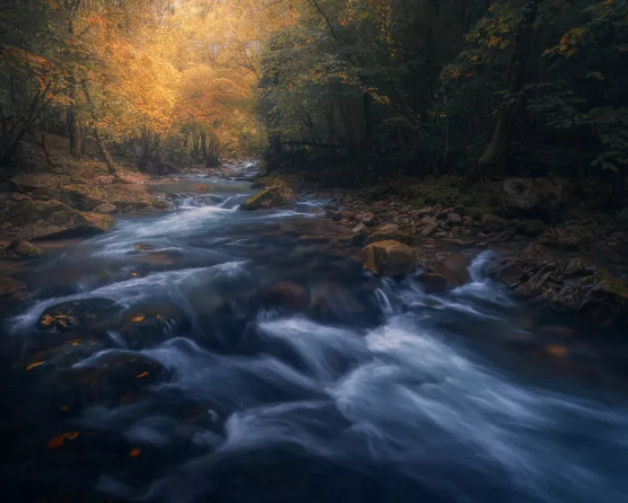 Franzoni, de Thomas: Der Fluss der Stille