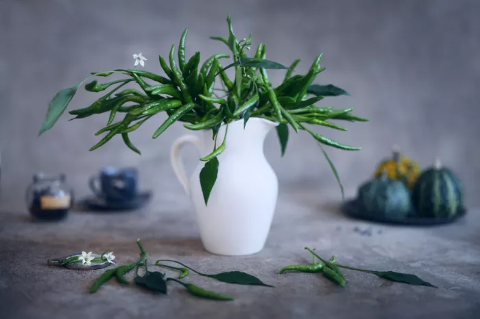 Hirai, Takiko: Chilischoten