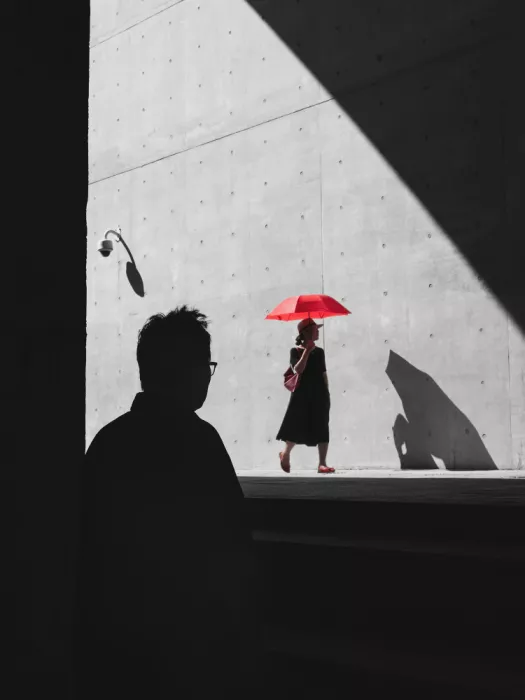Z, Leechee: Between Light & Shadow