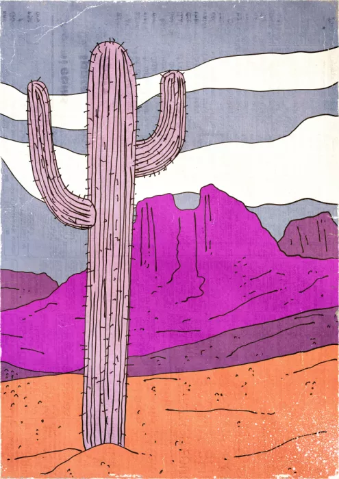 Nicholas: Desert Vintage