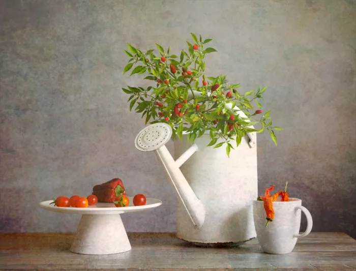 Zhou, Fangping: Chili in the Watering Can