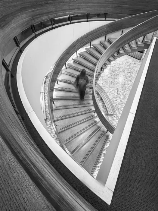 Liu, Sonya: The Staircase
