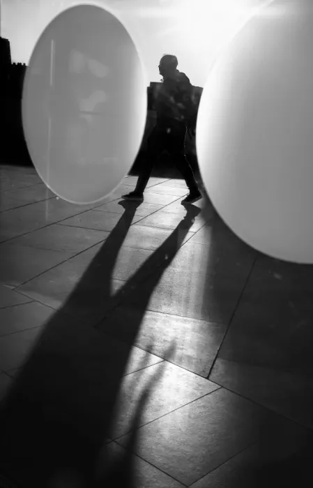Niemiec, Anna: Between the lenses of reality