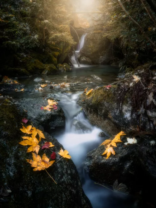 Giani, Cristiano: Autumnal mood