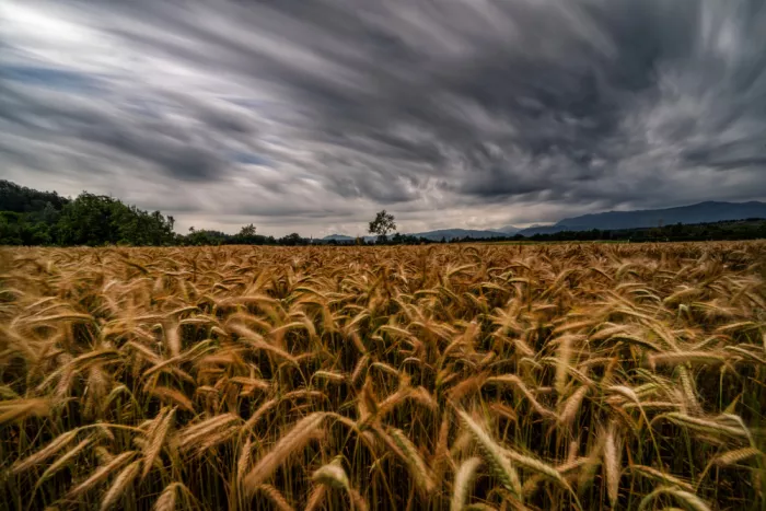 BALANTIC, PETER: Before storm