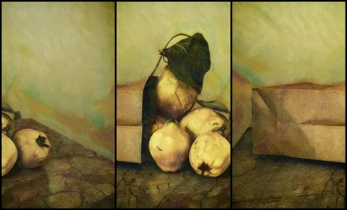 Stas, Marie-anne: Triptych
