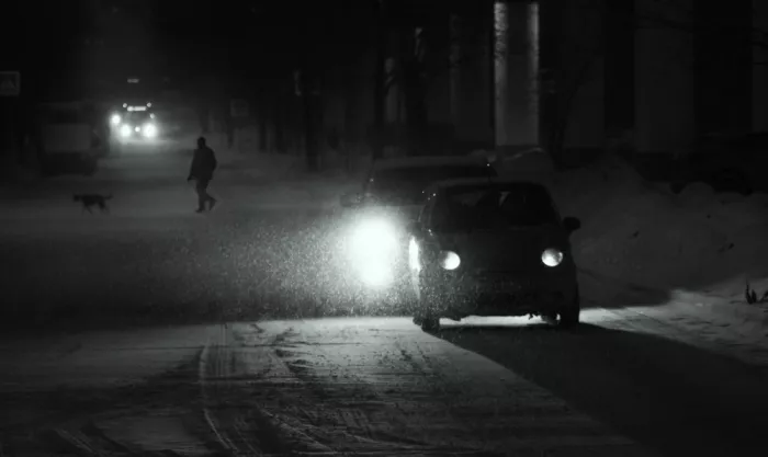 Makunin, Maxim: In the white world