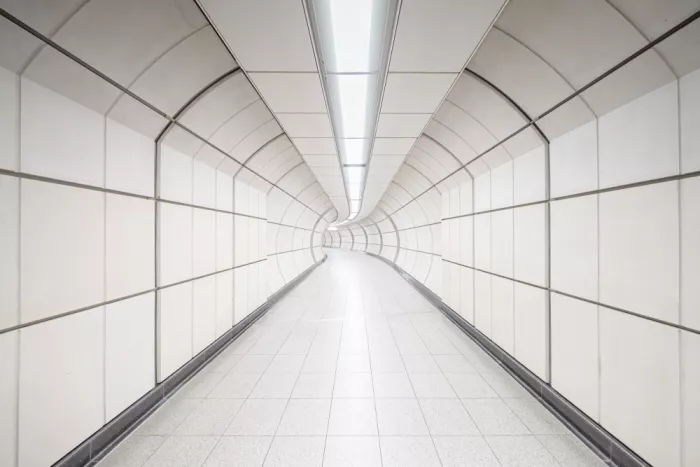Bardají, L. Rafael: The Pale Absence