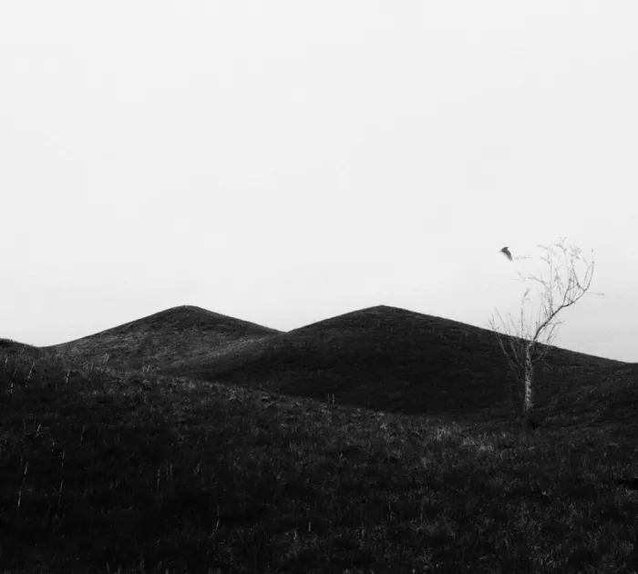 Urbonavičienė, Ingrida: Spring poem